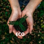Abbiamo ottenuto il rating internazionale di eco-sostenibilità Ecovadis