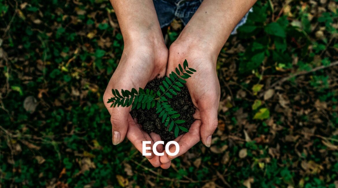 ECO SOSTENIBILITA