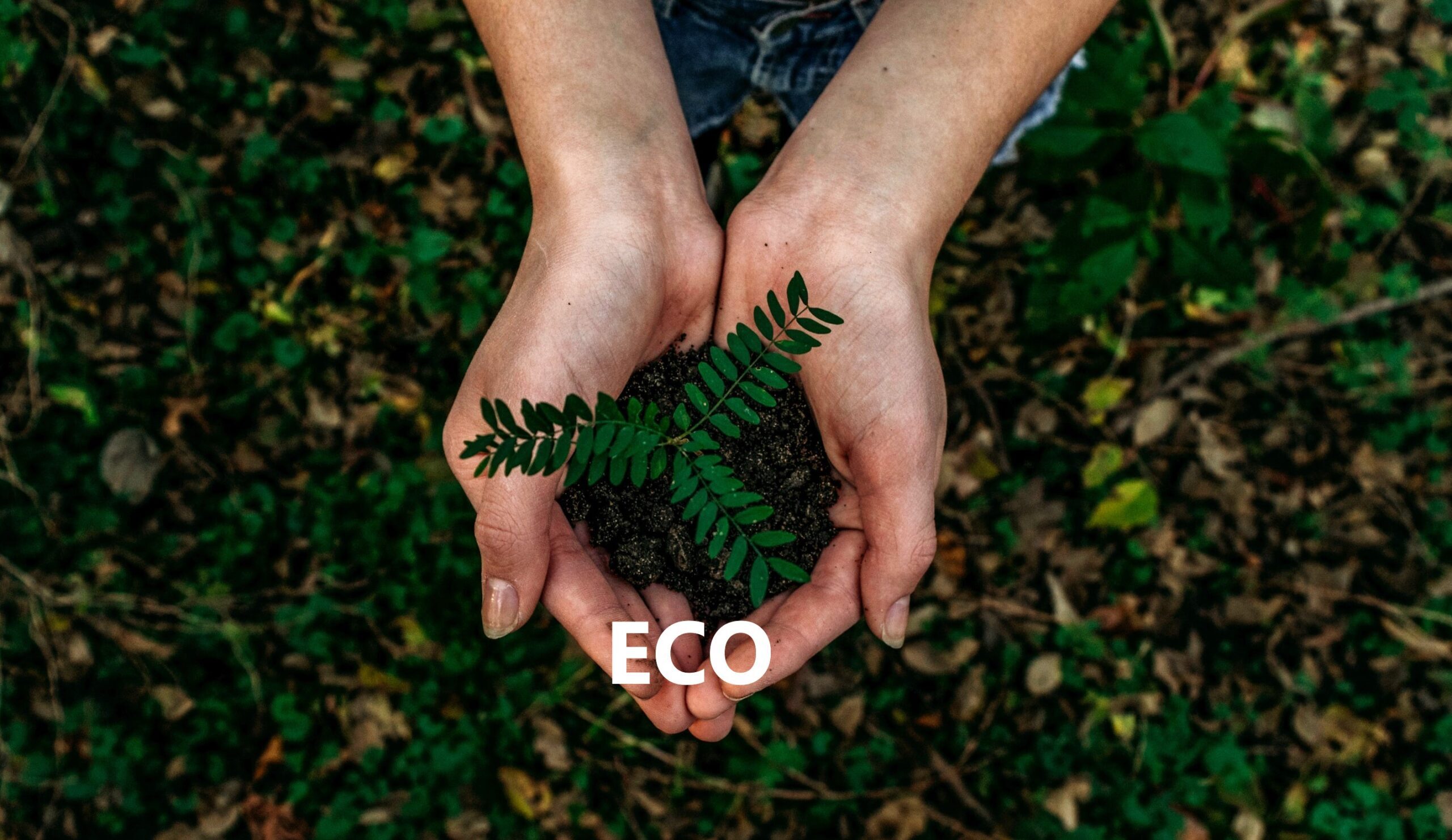 ECO SOSTENIBILITA