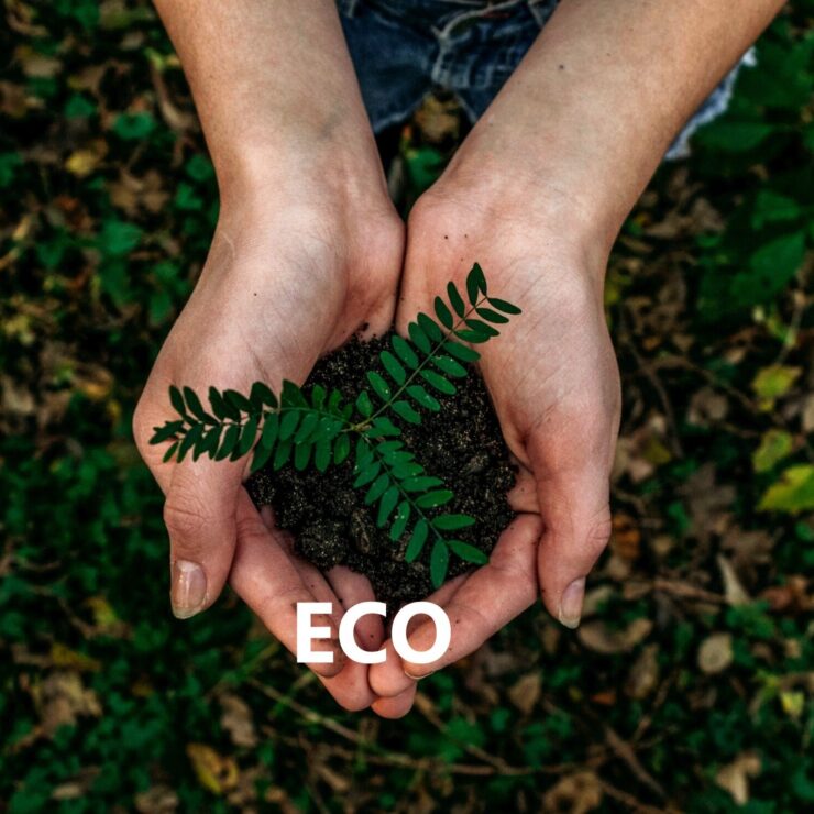 ECO SOSTENIBILITA